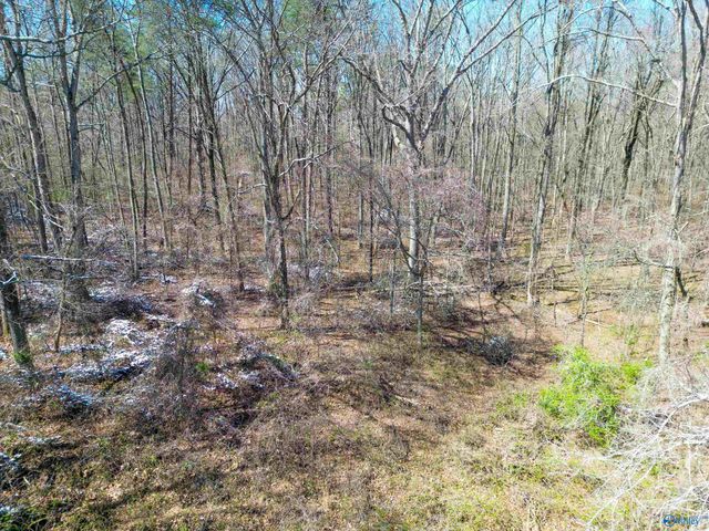 381 County Road 131, Bryant, AL 35958