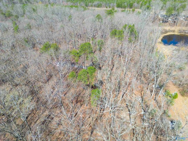 381 County Road 131, Bryant, AL 35958