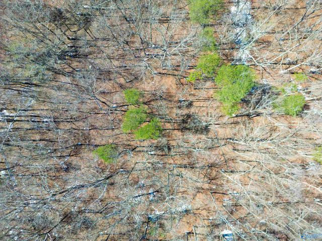 381 County Road 131, Bryant, AL 35958