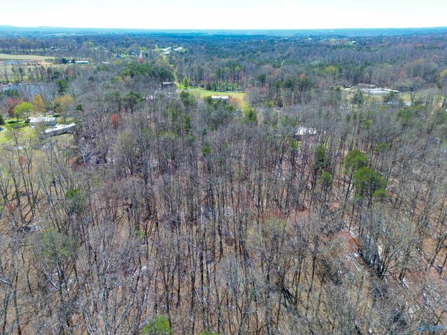 381 County Road 131, Bryant, AL 35958