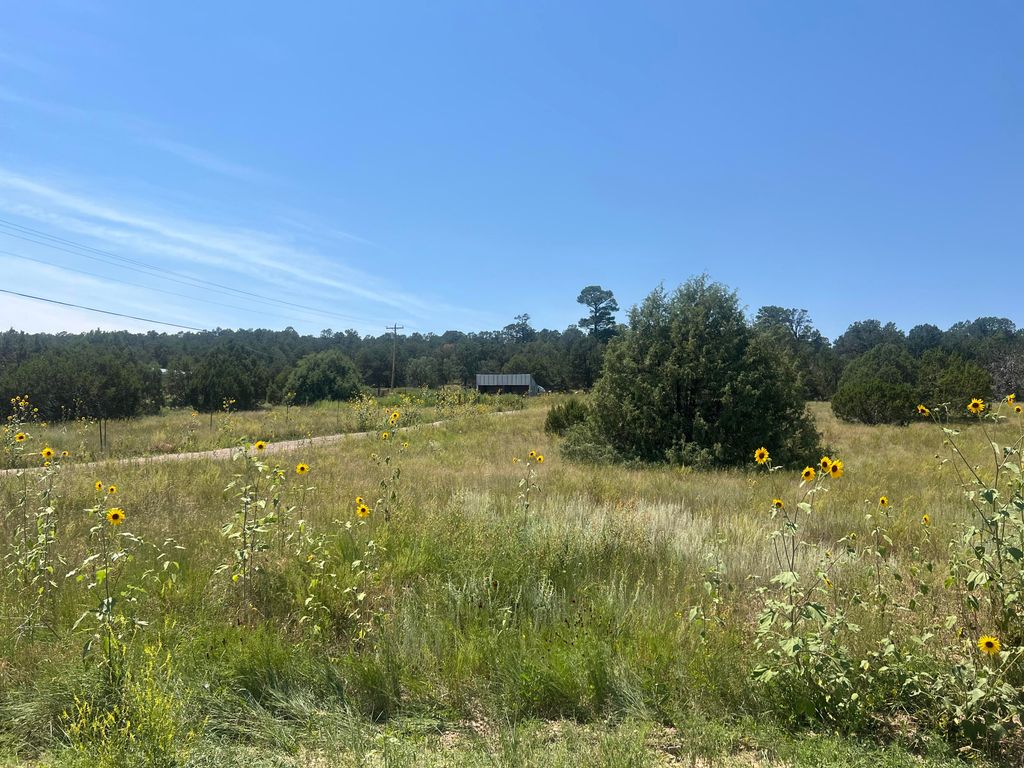 Ballenger Ranch Road, Edgewood, NM 87015