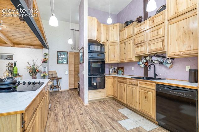 2493 County Road 782, Woodland Park, CO 80863