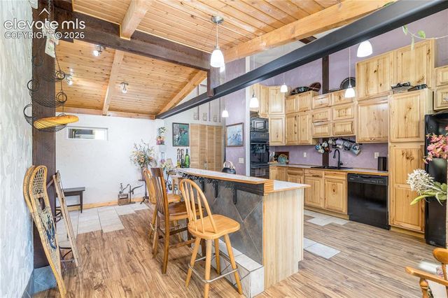2493 County Road 782, Woodland Park, CO 80863