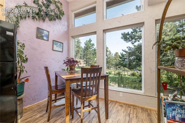 2493 County Road 782, Woodland Park, CO 80863