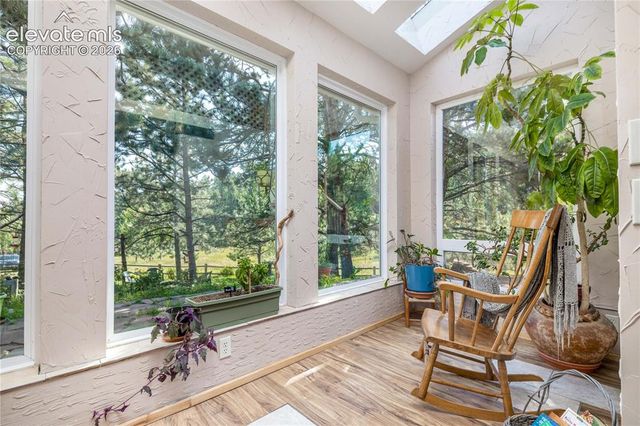 2493 County Road 782, Woodland Park, CO 80863