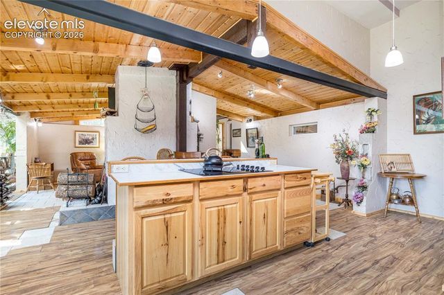 2493 County Road 782, Woodland Park, CO 80863
