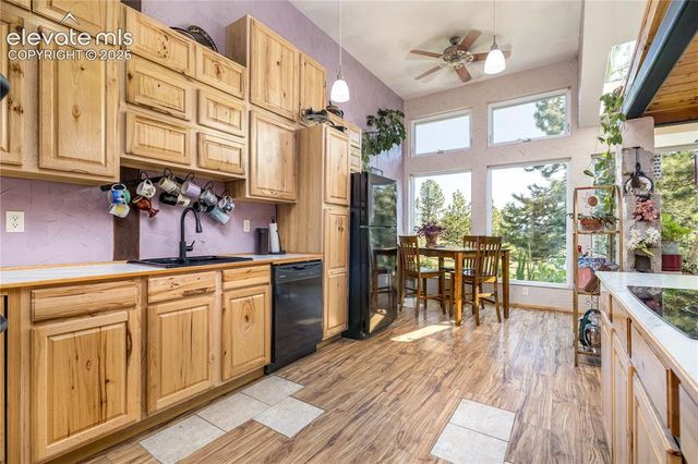 2493 County Road 782, Woodland Park, CO 80863