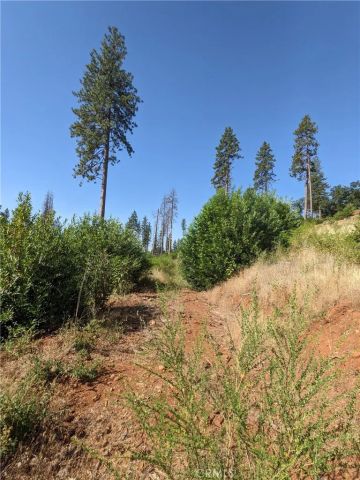 1880 Stearns, Paradise, CA 95969