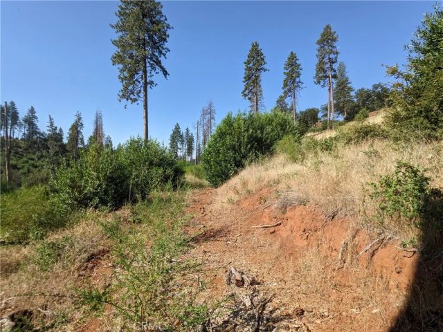 1880 Stearns, Paradise, CA 95969