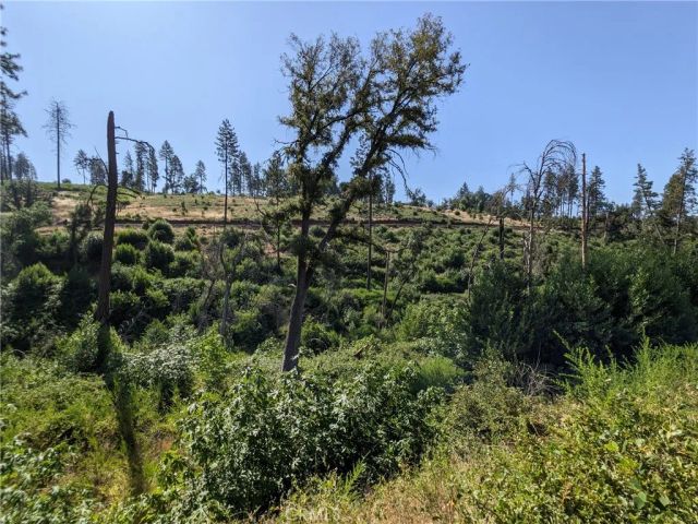 1880 Stearns, Paradise, CA 95969