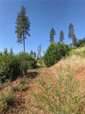 1880 Stearns, Paradise, CA 95969