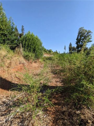 1880 Stearns, Paradise, CA 95969