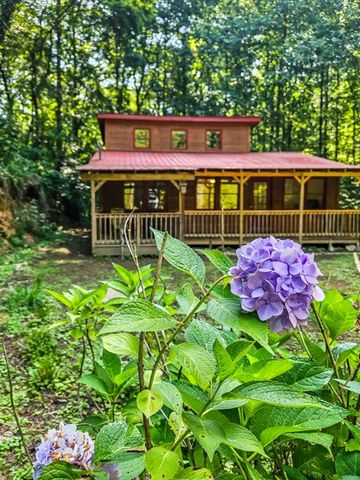 65 Mount Pleasant Drive, Ellijay, GA 30540