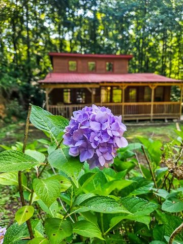 65 Mount Pleasant Drive, Ellijay, GA 30540