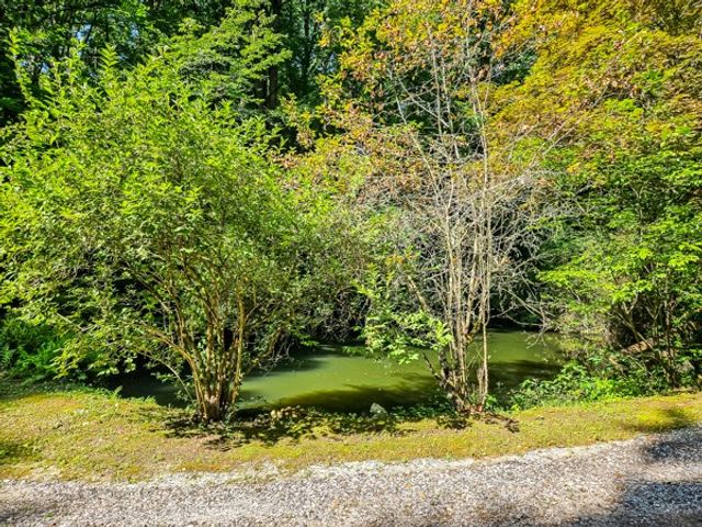 65 Mount Pleasant Drive, Ellijay, GA 30540