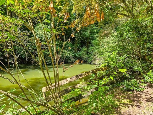 65 Mount Pleasant Drive, Ellijay, GA 30540