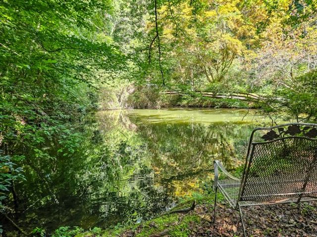 65 Mount Pleasant Drive, Ellijay, GA 30540