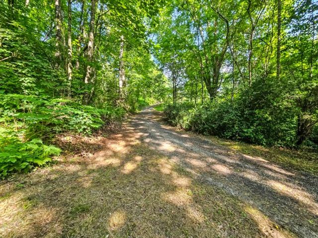 65 Mount Pleasant Drive, Ellijay, GA 30540
