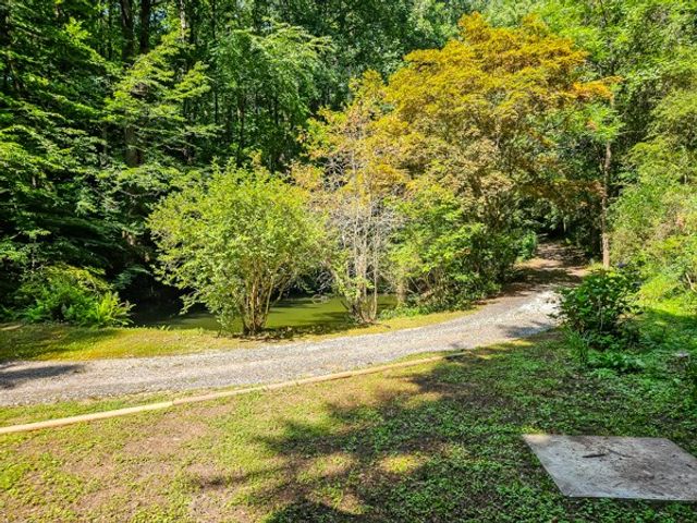 65 Mount Pleasant Drive, Ellijay, GA 30540