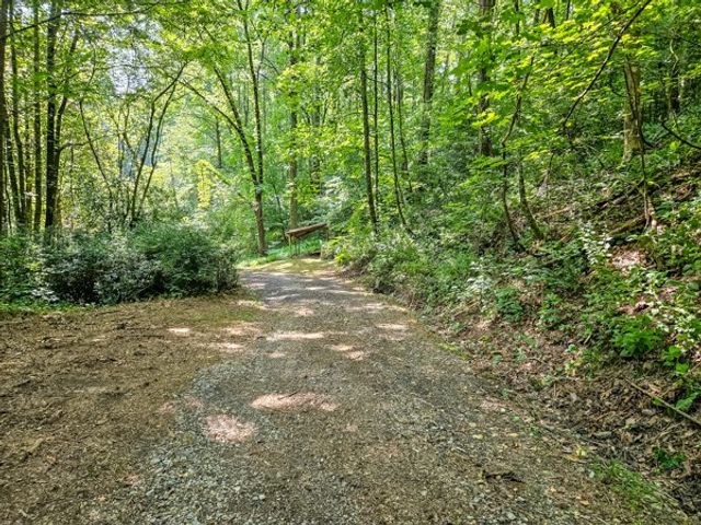 65 Mount Pleasant Drive, Ellijay, GA 30540