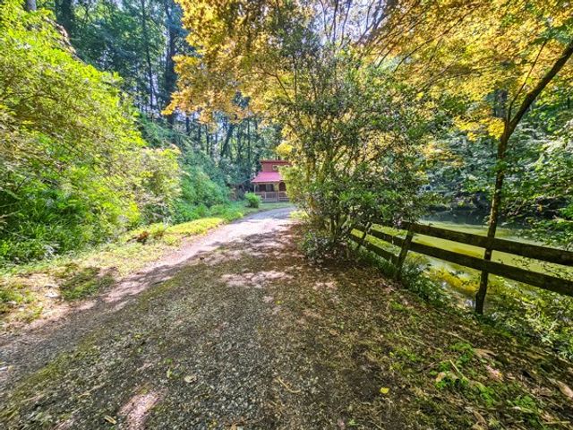 65 Mount Pleasant Drive, Ellijay, GA 30540
