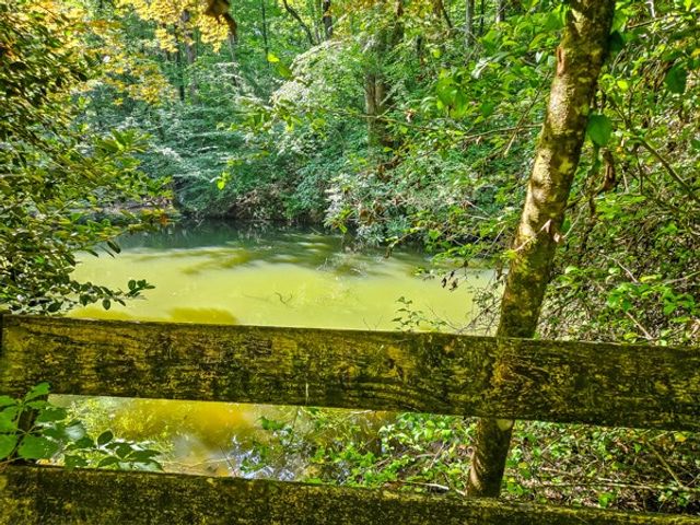 65 Mount Pleasant Drive, Ellijay, GA 30540