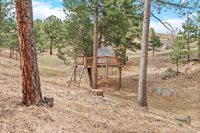 33208 Alta Vista Drive, Evergreen, CO 80439