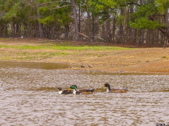 5015 S FM 726, Gilmer, TX 75645