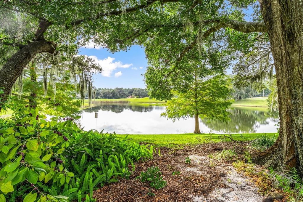 Image 2 of property listing at 7023 ARCADIAN COURT, Mount Dora, FL 32757