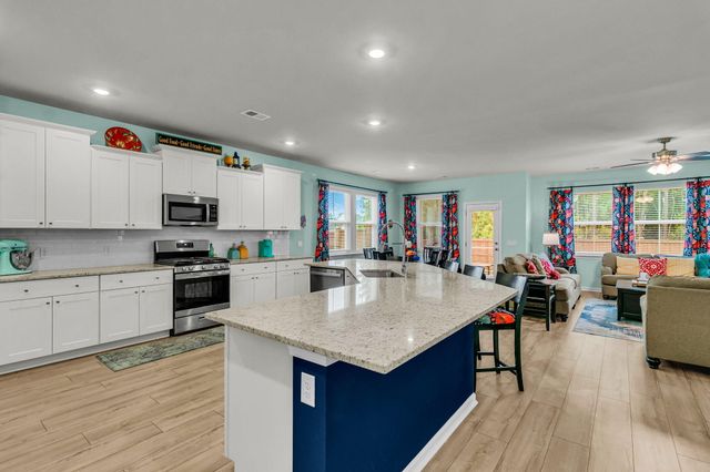 115 Tuscan Sun Street, Summerville, SC 29485