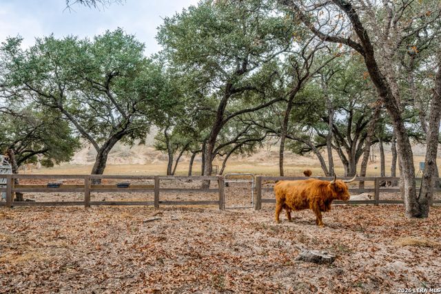 322 Dublin Cir, Floresville, TX 78114