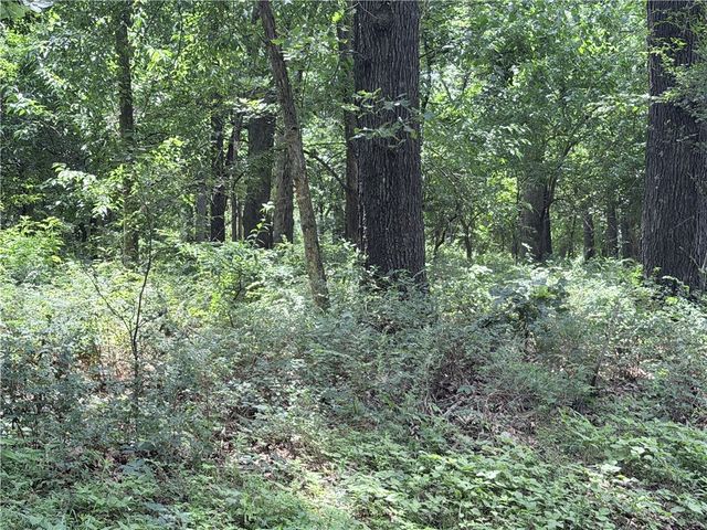 9851 N Hwy 43, Maysville, AR 72747