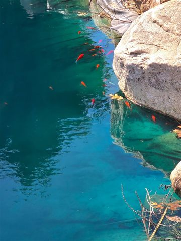 12880 Jordan Meadows Court, Lowell, MI 49331