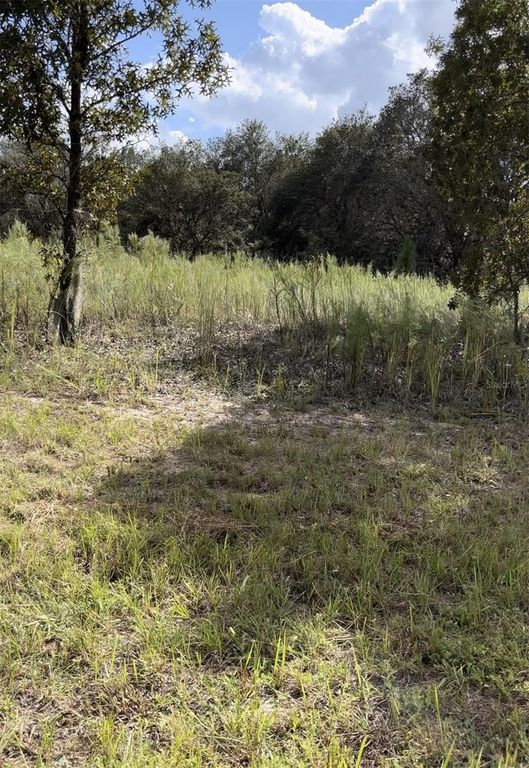 1656 W HAMPSHIRE BOULEVARD, Citrus Springs, FL 34434