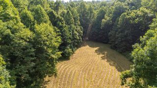 2476 ENNIS MOUNTAIN RD, Afton, VA 22920