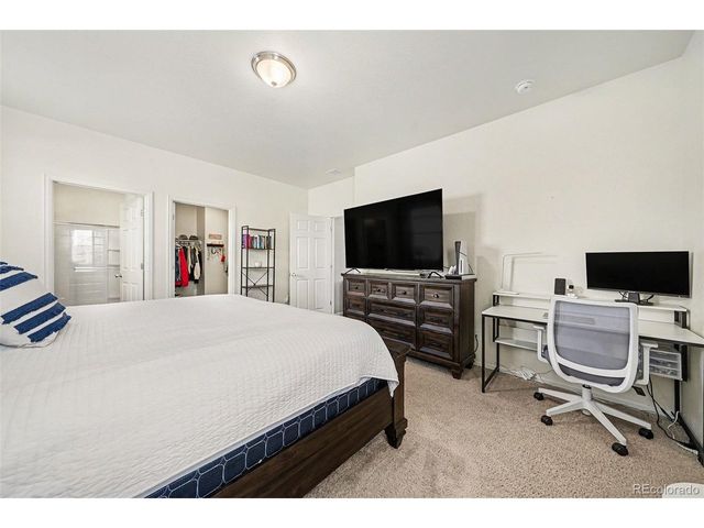 910 Pierson Ct, Windsor, CO 80550