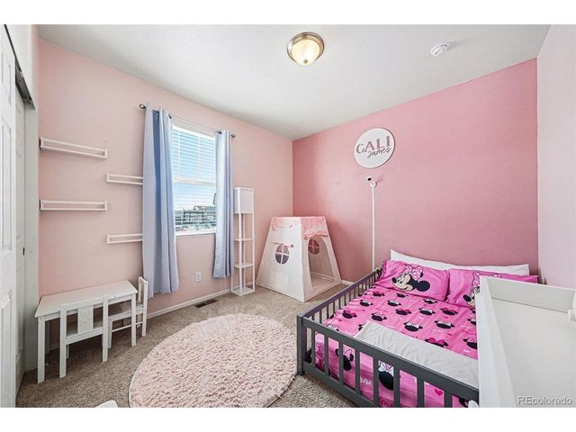 910 Pierson Ct, Windsor, CO 80550