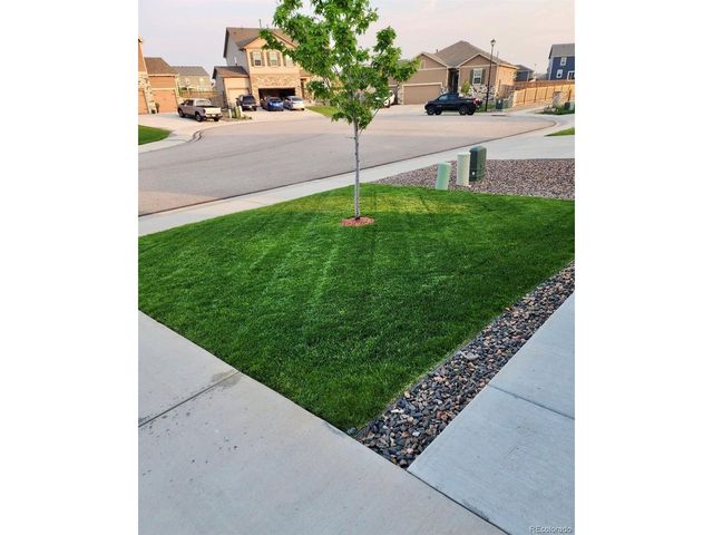 910 Pierson Ct, Windsor, CO 80550