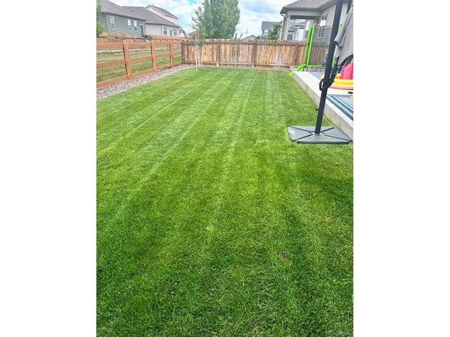 910 Pierson Ct, Windsor, CO 80550