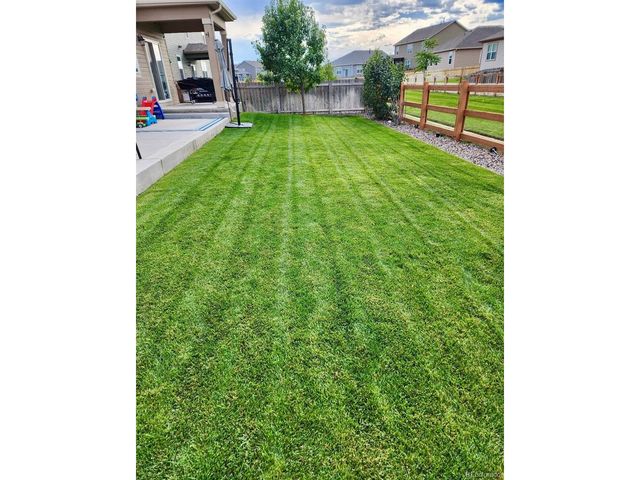 910 Pierson Ct, Windsor, CO 80550