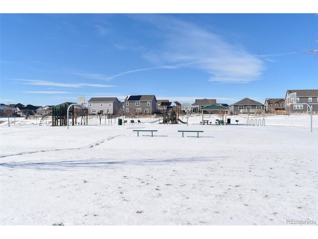 910 Pierson Ct, Windsor, CO 80550