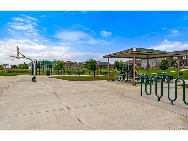 910 Pierson Ct, Windsor, CO 80550