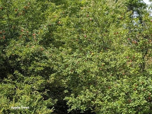 N9960 MEADOWLARK LANE, Crivitz, WI 54114