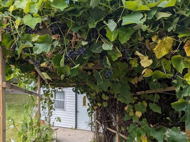 N9960 MEADOWLARK LANE, Crivitz, WI 54114