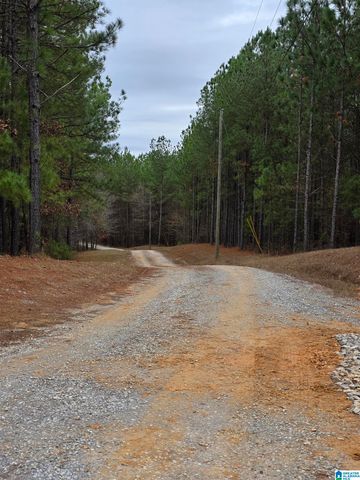 12B HIGHWAY 69, Chelsea, AL 35043