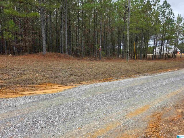 12B HIGHWAY 69, Chelsea, AL 35043