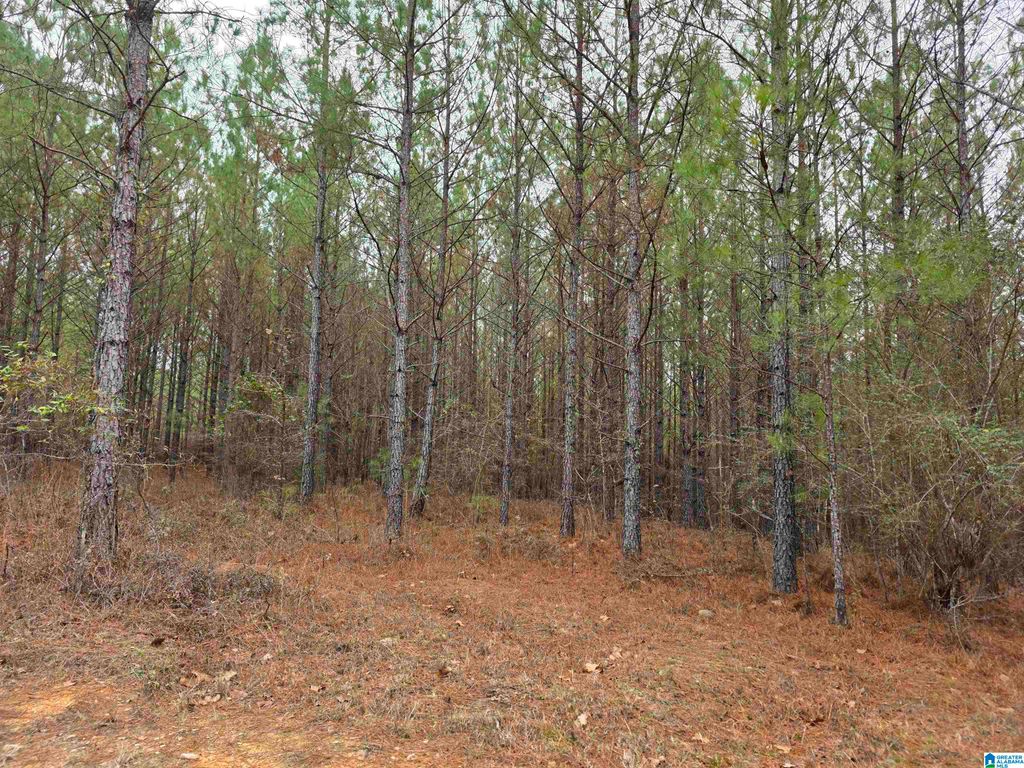 12B HIGHWAY 69, Chelsea, AL 35043