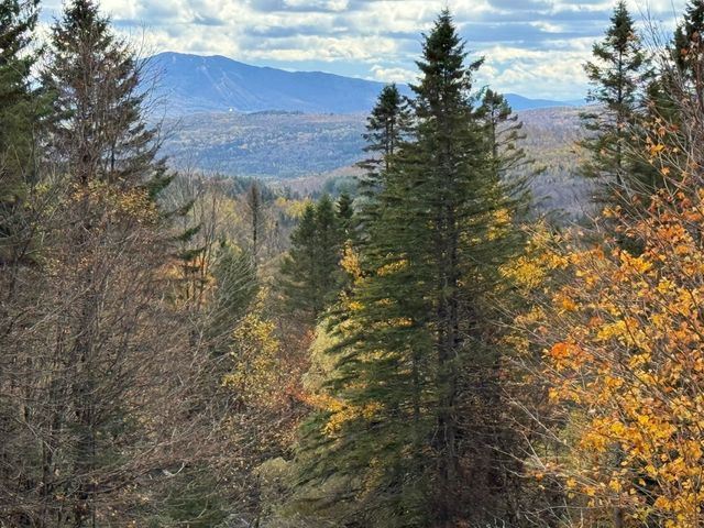 397 Mountain View Road, Newark, VT 05871