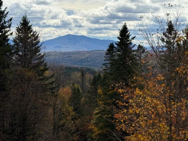 397 Mountain View Road, Newark, VT 05871