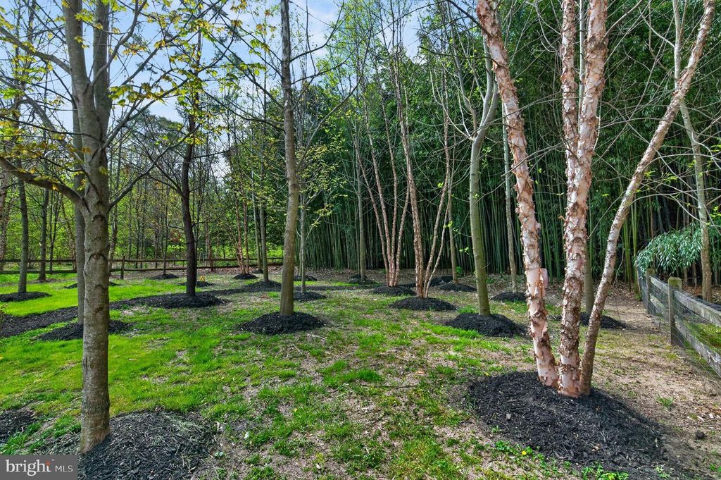 Image 45 of property listing at 38 KLEIS RD, Severna Park, MD 21146